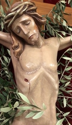 Imm_preg_20200404_01