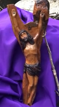 Imm_preg_20200604_02