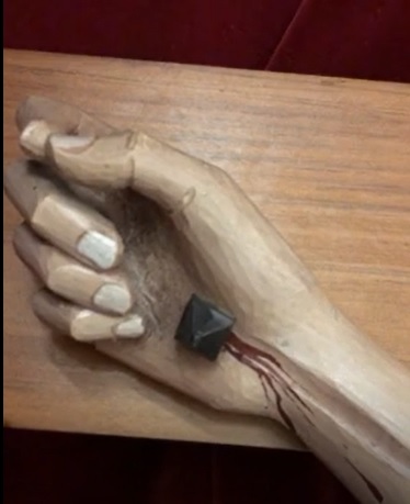 Imm_preg_20201004_01